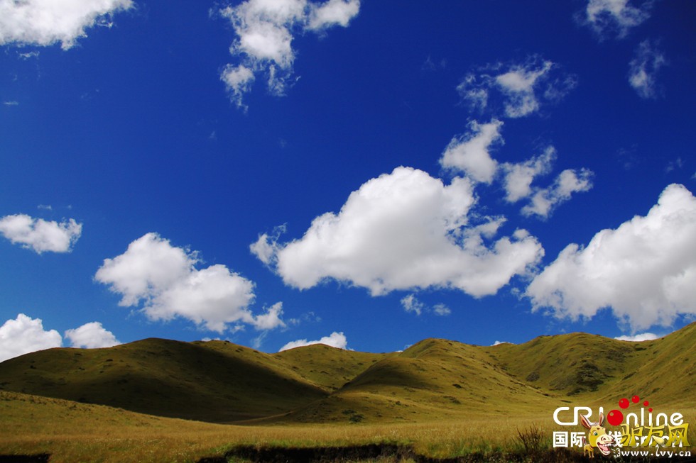 ������-�������м��վ��������Ա���ڼ����������ŷ���-��Ӱ���¼ҵ�