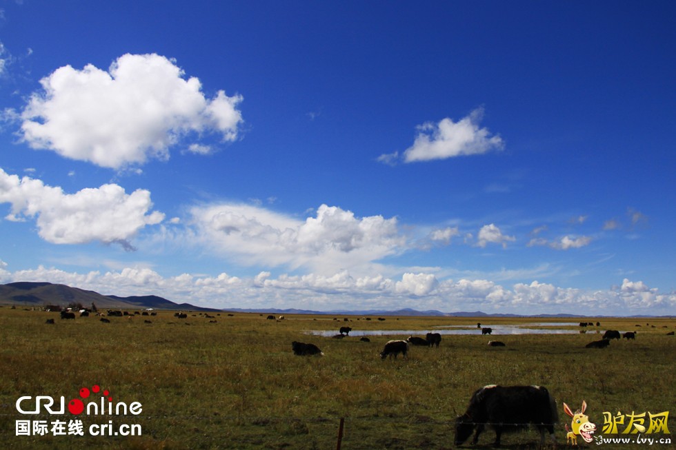 ������-�������м��վ��������Ա���ڼ����������ŷ���-��Ӱ���¼ҵ�