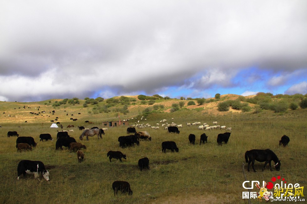 ������-�������м��վ��������Ա���ڼ����������ŷ���-��Ӱ���¼ҵ�