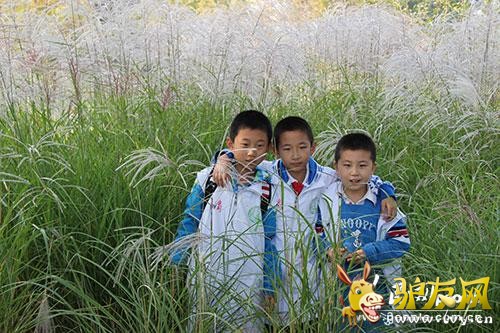 ����ϣ�����ٰ̾칫��ͽ�����껪�������20��