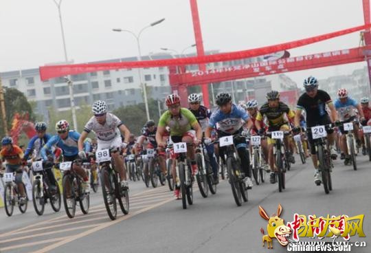 2014����ɽ���ʹ�·���г�����ͭ�ʽ��ڿ����� ���� ��