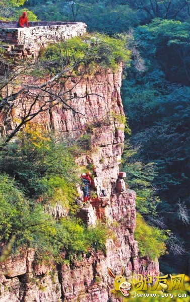 ������֩��������һ�������ϣ�һ�������£���ϵ���ǵ���һ�����ӡ�