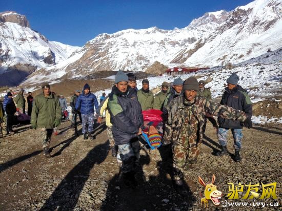 �Ჴ��ʿ��������Ա