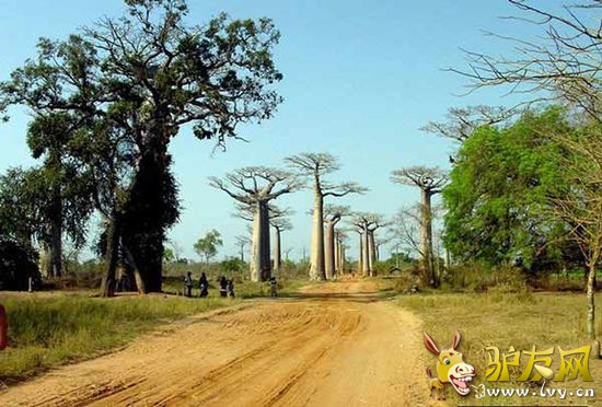 ǩ֤���ߣ�����ǩ֤����˹������ǩ֤�����ʼ����룬һ��24Сʱ��ͨ�������ڵ���ͣ��30�죬���ں����ӳ�6���¡�