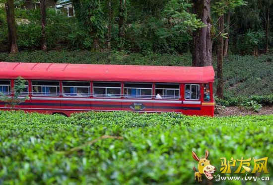 ǩ֤���ߣ�����ǩ֤����˹������ǩ֤�����ʼ����룬һ��24Сʱ��ͨ�������ڵ���ͣ��30�죬���ں����ӳ�6���¡�