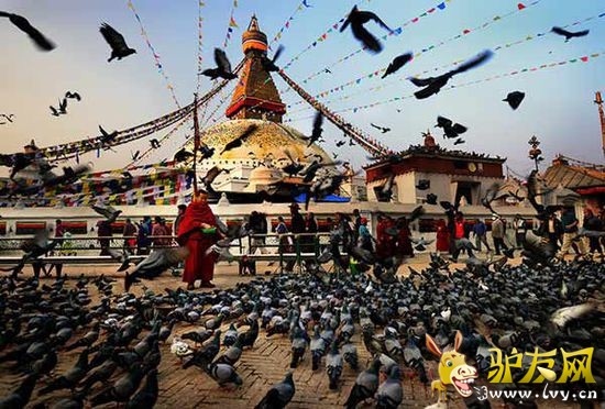 ǩ֤���ߣ�����ǩ֤����˹������ǩ֤�����ʼ����룬һ��24Сʱ��ͨ�������ڵ���ͣ��30�죬���ں����ӳ�6���¡�