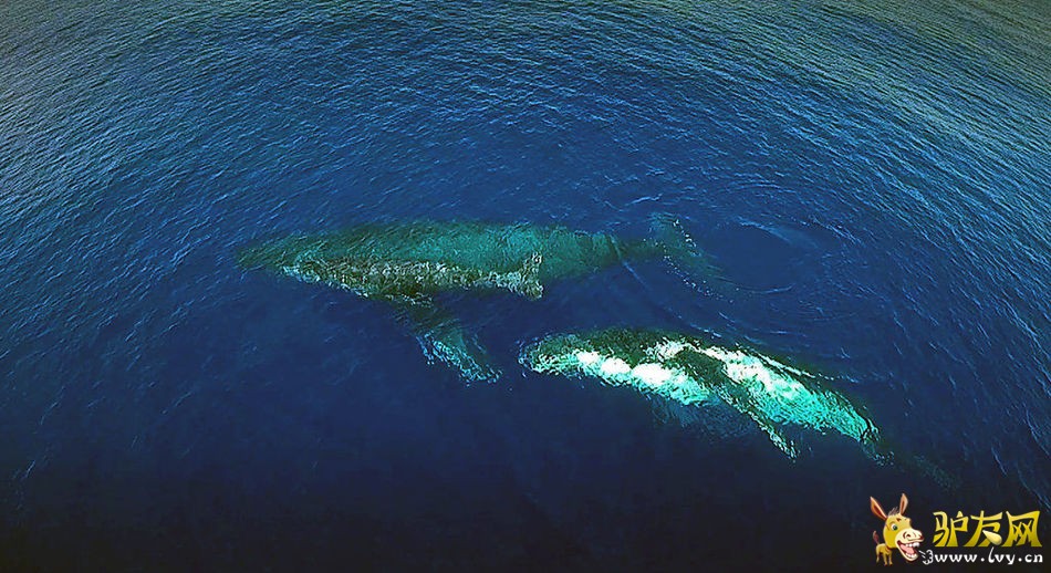 Ӣ�����Ӻ������㾨�㽻�䳡��(��ͼ)