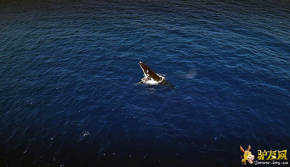 Ӣ�����Ӻ������㾨�㽻�䳡��(��ͼ)