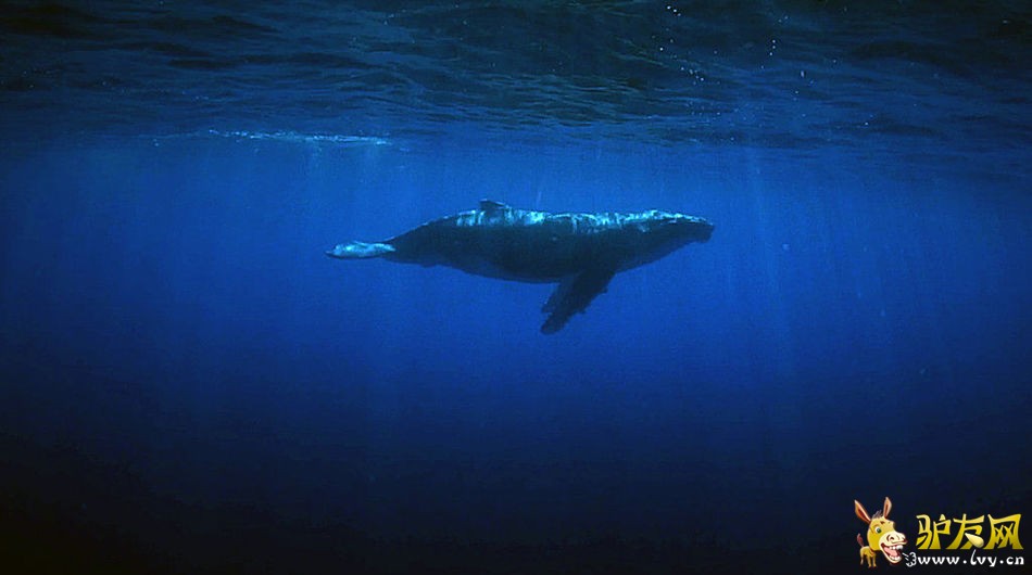 Ӣ�����Ӻ������㾨�㽻�䳡��(��ͼ)