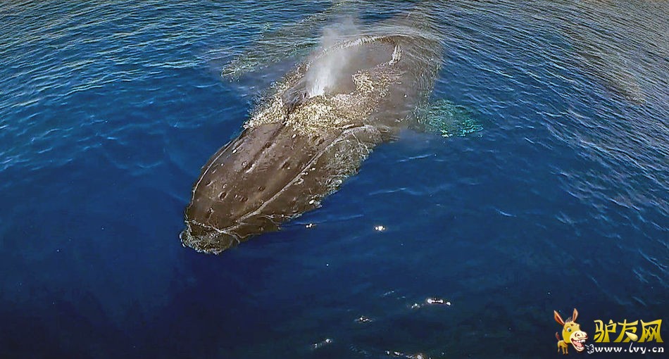 Ӣ�����Ӻ������㾨�㽻�䳡��(��ͼ)