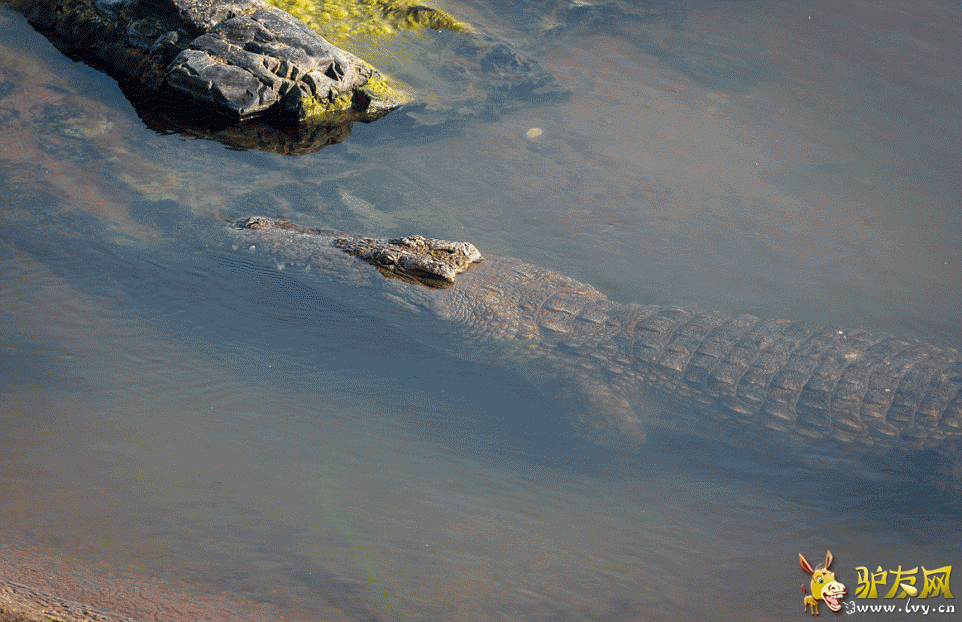 ��ֻ��������Ǳ�����Ϸǰ¶��ҴĺӰ��ߣ���������ʱ������Ұ�������͡� ��ҳ��ͼ