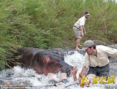 ͻȻ�䣬�������Դ�����ˮ�£�ר���������ܹ�ȥʩ�ȡ�