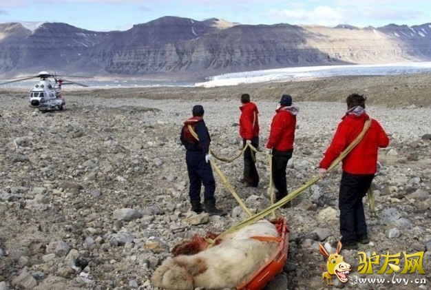 �̵�ȫ����Ϯ���ο͵Ŀֲ�˲��(1)_��ѧ̽��_������