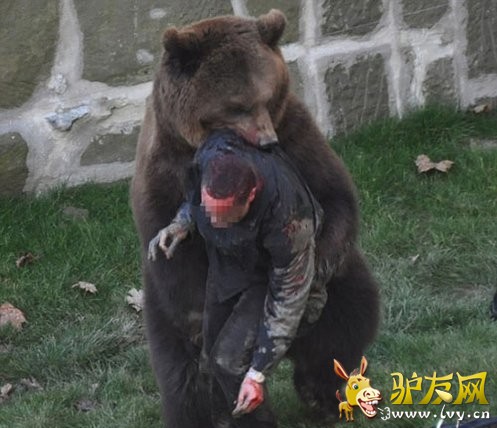 �̵�ȫ����Ϯ���ο͵Ŀֲ�˲��(1)_��ѧ̽��_������