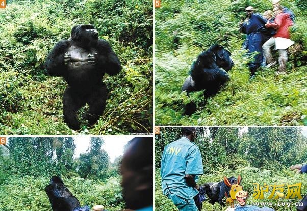 �̵�ȫ����Ϯ���ο͵Ŀֲ�˲��(1)_��ѧ̽��_������