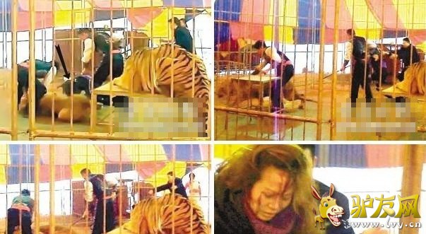 �̵�ȫ����Ϯ���ο͵Ŀֲ�˲��(1)_��ѧ̽��_������