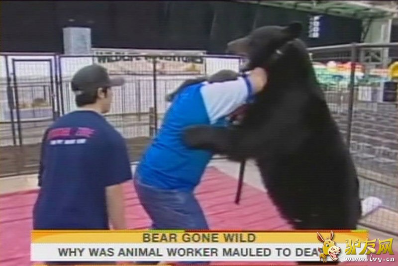 �̵�ȫ����Ϯ���ο͵Ŀֲ�˲��(1)_��ѧ̽��_������