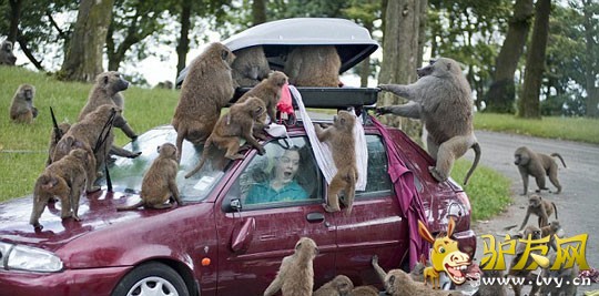 �̵�ȫ����Ϯ���ο͵Ŀֲ�˲��(1)_��ѧ̽��_������