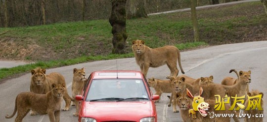 �̵�ȫ����Ϯ���ο͵Ŀֲ�˲��(1)_��ѧ̽��_������