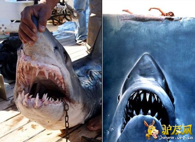 �̵�ȫ����Ϯ���ο͵Ŀֲ�˲��(1)_��ѧ̽��_������