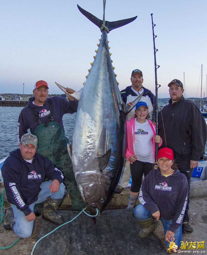 ���ô�12��Ůͯղ�ȵ���һ��616��Լ��280�����صľ��ͽ�ǹ��