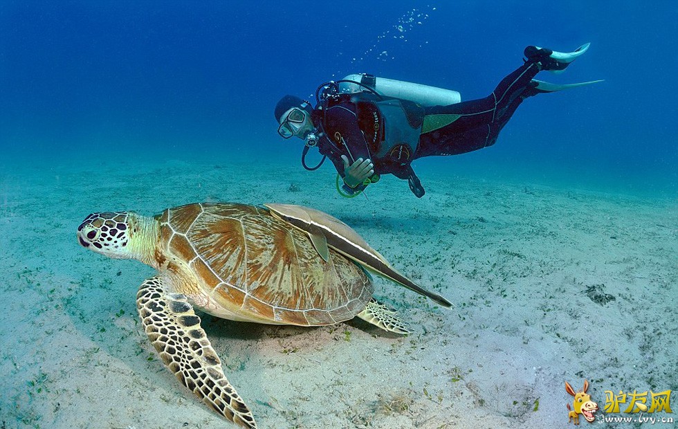 ���ɱ�����������������̩���������ߡ�����ѡ���֮��ȫ��������ε��족����ҳ��ͼ