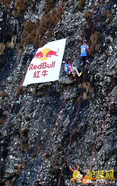 ����ţ24Сʱ����ԭ��ս���У�ѡ���������Ͻ���50�������ҽ���Ŀ