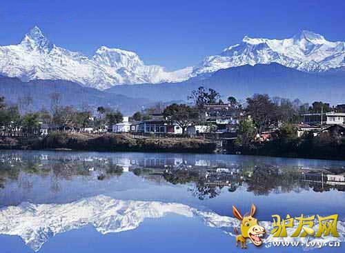 �Ჴ�����