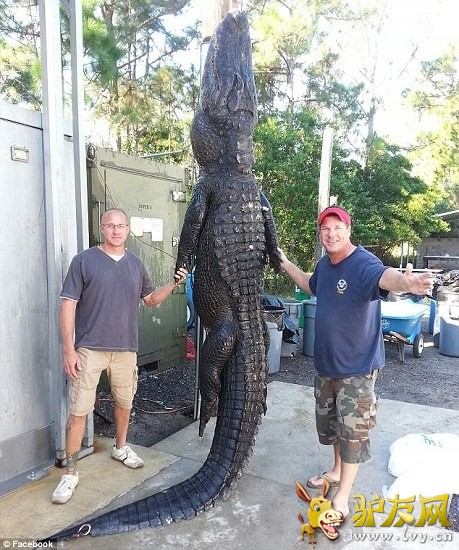 �����������ؾ�Ȼ��765��(Լ��347����)��������4�ס���������ʵ���������Ƿ���ݲ������������㡣