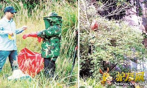 ͼΪ�������޷������÷�������ժ��������