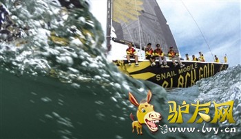 ��Լ���� ̷�