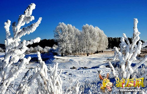  �����緢 ������ ��