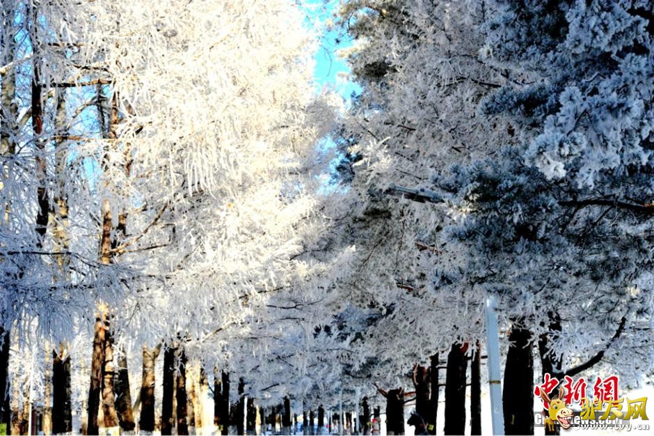 ���������˰�����������������ڡ����(������ͼ)