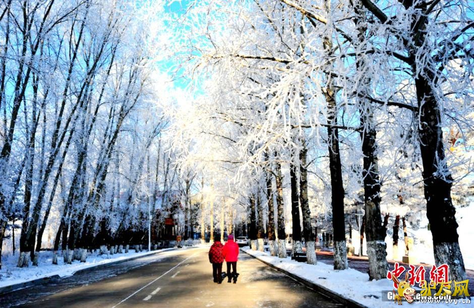 ���������˰�����������������ڡ����(������ͼ)