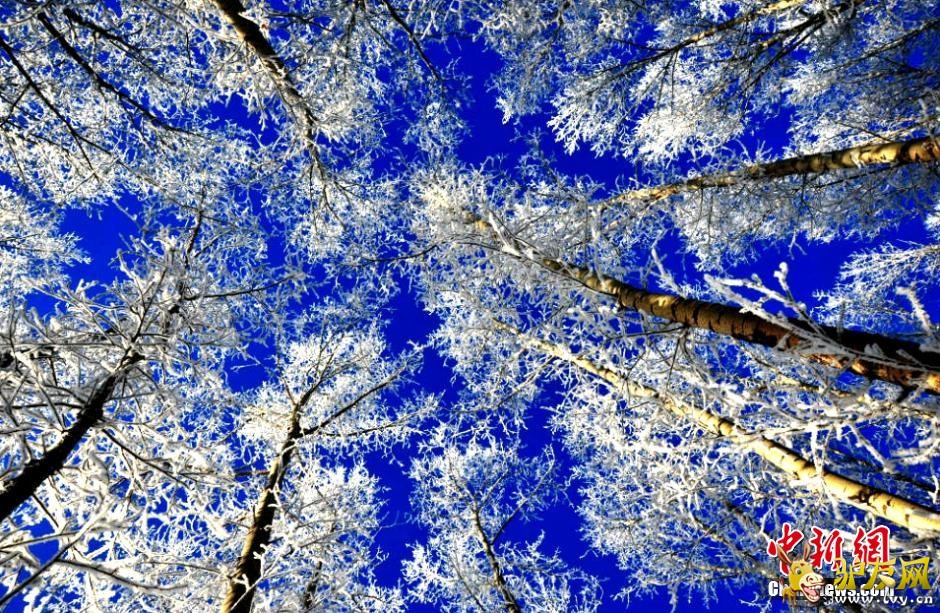 ���������˰�����������������ڡ����(������ͼ)