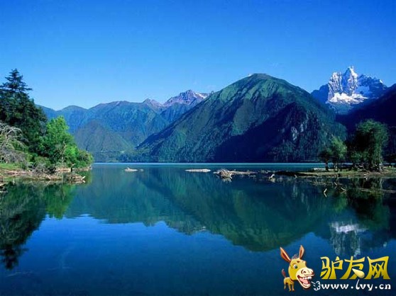 ������ѩɽ��ڣ�����������ңң������