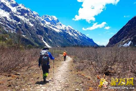 ������ѩɽ��ڣ�����������ңң������