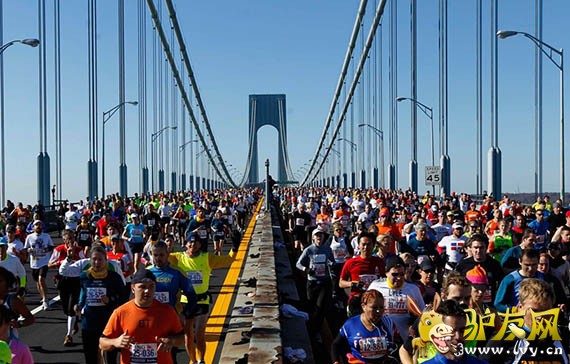 ͼΪ ŦԼ������