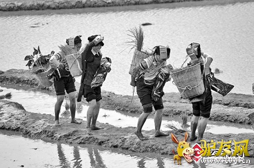 1 ��ӱ���һ�н�ӡ