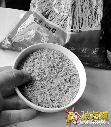 10 ����ǧ���������