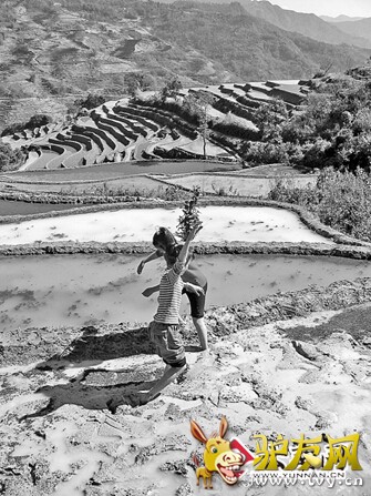 3 ������Ųȼ���