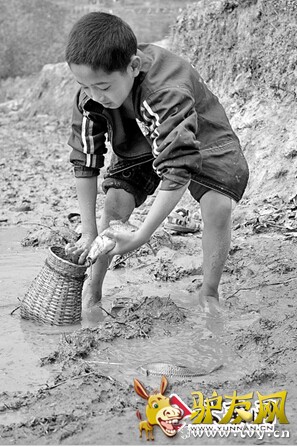 4 ׽һ��������̬��