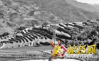 9 ��һ������������