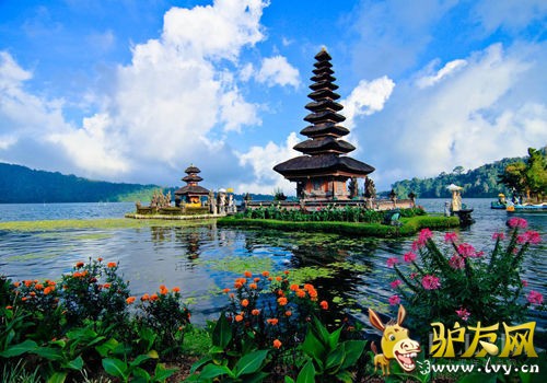 ���嵺�������������ÿ���������εص㣬���������д�̽�������������еĵ��ط��֮�⣬���ʵ�ס�޻�����ƽ�۵�ˮ�ƻ����������������ο͡�