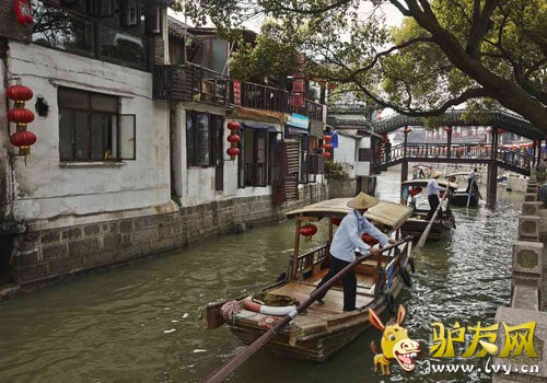 �����͵����� ȫ��ʮ�����ʺϱ������е�