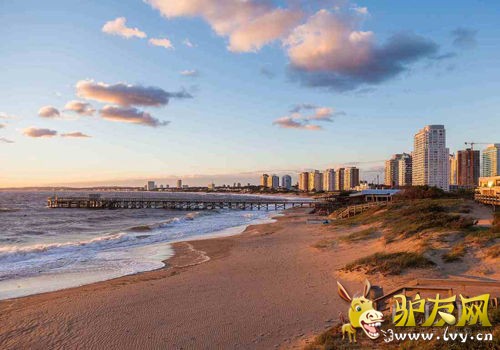 ����ĺ�̲��ɫ�ǳ�ֵ���ղأ���������������������δ������ĳ��У�����������˼��˵Ļ�����������ѡ������������ص��������顣