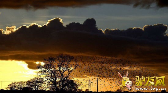 5��ֻ����ӹ��ո���С����������Ͽ�