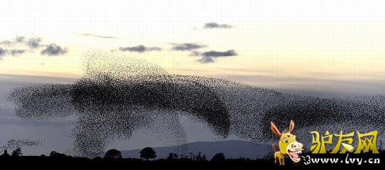 ��Ⱥ��ӵ�����������ڿ��б任���Ρ��ڳ���ͬ��״������