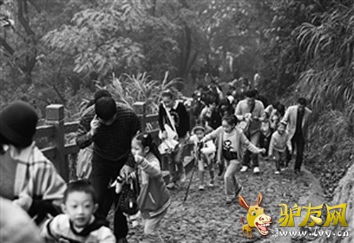 ���޽��İٲ�����������ʽ���ţ�������������ǰ�������ɽ����Ȥ