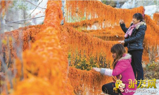 ����������Ƥ